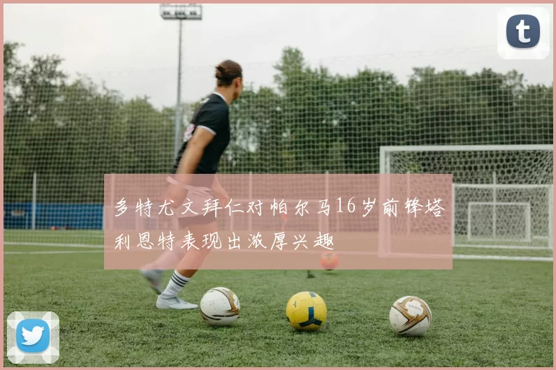 多特尤文拜仁对帕尔马16岁前锋塔利恩特表现出浓厚兴趣